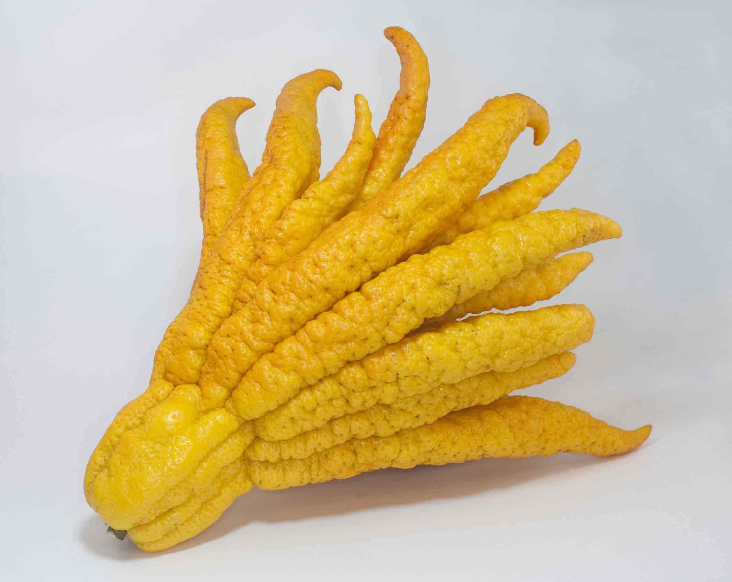 finger-citron.jpg