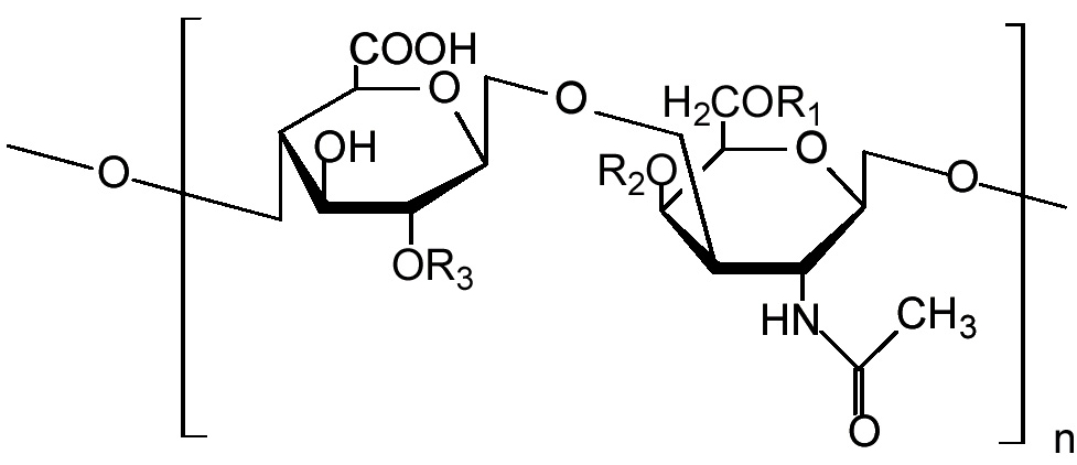 chondroitin-sulphate.jpg