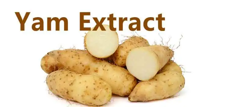 wild-yam-root-extract.jpg