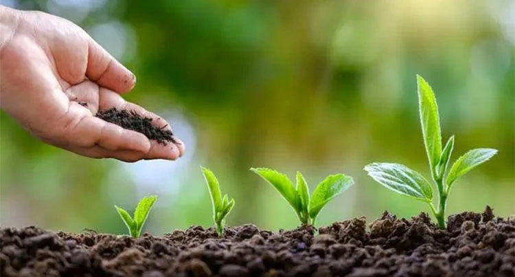 product-1-1 product-1-1