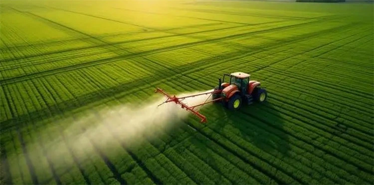 product-1-1 product-1-1