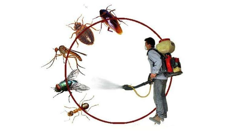 product-1-1 product-1-1