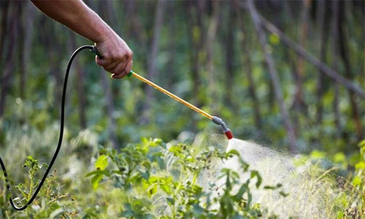 agriculture agriculture