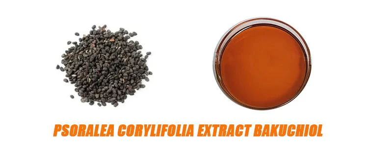 product-1-1 product-1-1