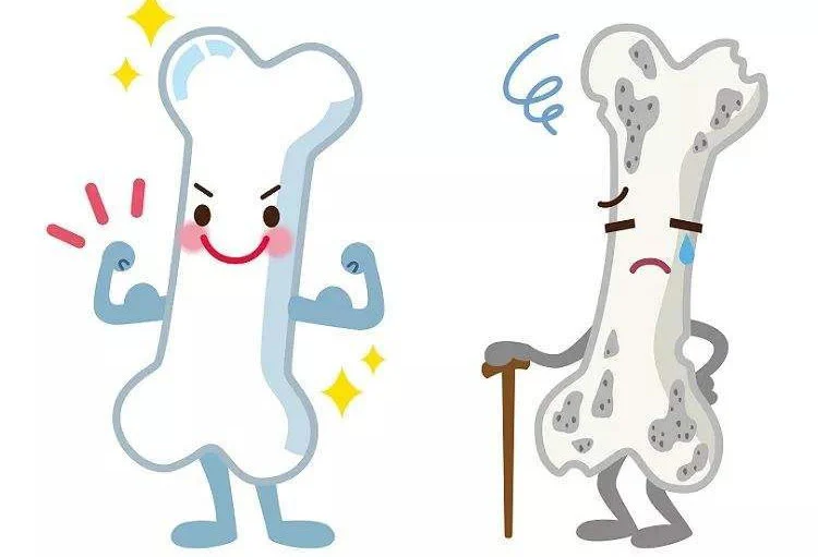 product-1-1 product-1-1