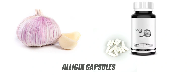 Allicin Capsules Allicin Capsules