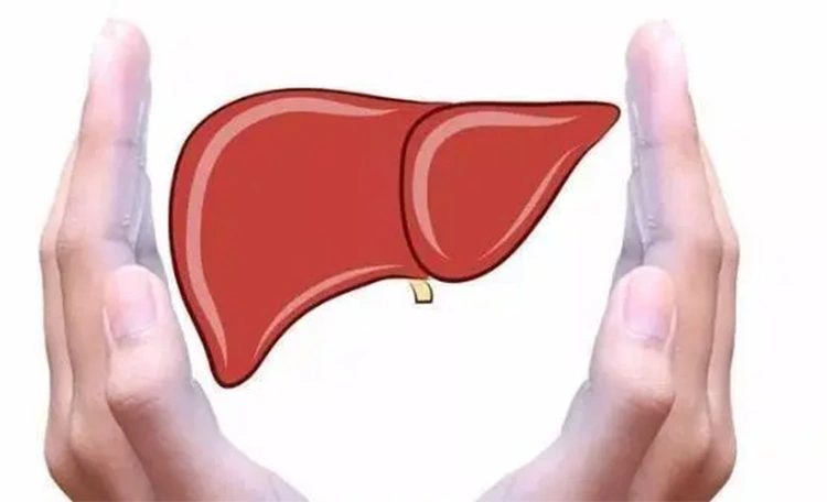liver liver