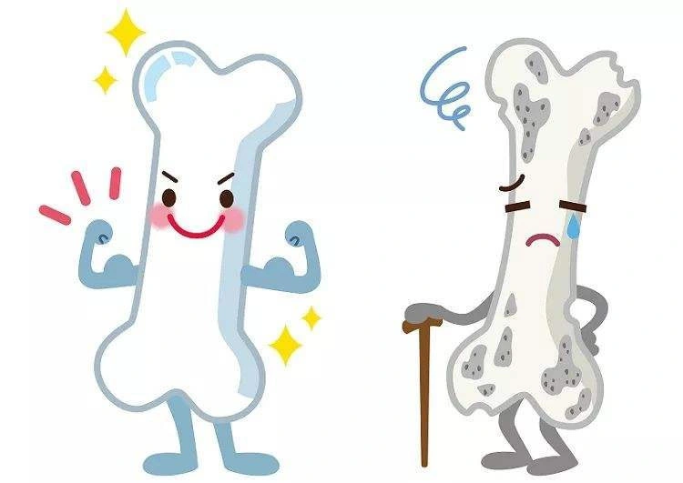 bone-health bone-health