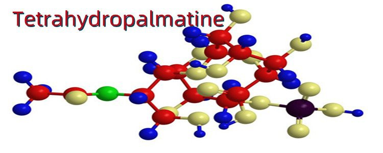 Tetrahydropalmatine.png